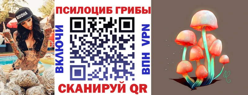 Псилоцибиновые грибы Cubensis  Цимлянск 